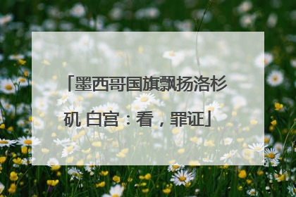 墨西哥国旗飘扬洛杉矶 白宫：看，罪证