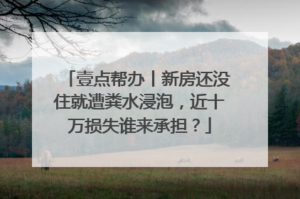 壹点帮办丨新房还没住就遭粪水浸泡，近十万损失谁来承担？