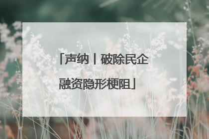 声纳丨破除民企融资隐形梗阻