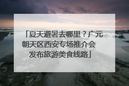 夏天避暑去哪里？广元朝天区西安专场推介会 发布旅游美食线路