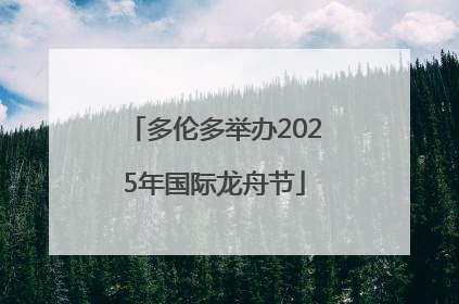 多伦多举办2025年国际龙舟节