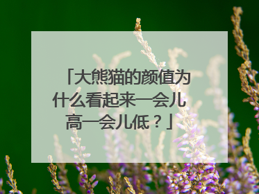 大熊猫的颜值为什么看起来一会儿高一会儿低？