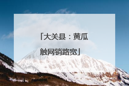 大关县：黄瓜触网销路宽
