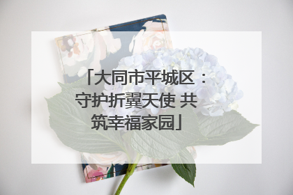 大同市平城区：守护折翼天使 共筑幸福家园