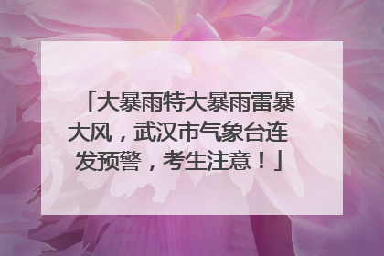 大暴雨特大暴雨雷暴大风，武汉市气象台连发预警，考生注意！