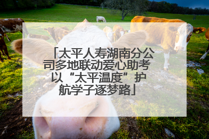 太平人寿湖南分公司多地联动爱心助考 以“太平温度”护航学子逐梦路