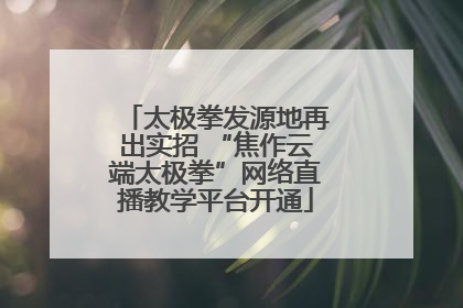 太极拳发源地再出实招 “焦作云端太极拳”网络直播教学平台开通