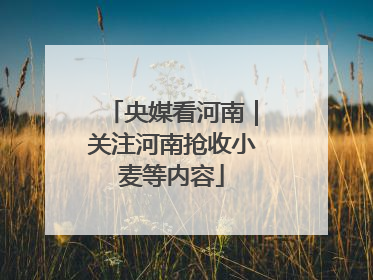 央媒看河南｜关注河南抢收小麦等内容