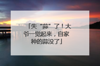 失“蒜”了！大爷一觉起来，自家种的蒜没了