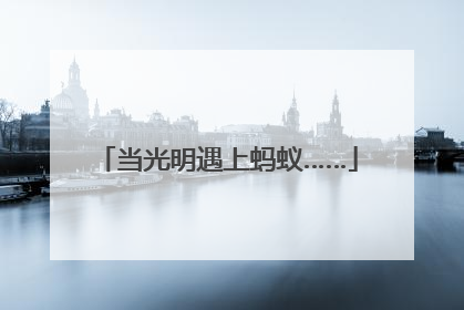 当光明遇上蚂蚁……