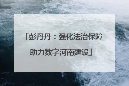 彭丹丹：强化法治保障 助力数字河南建设