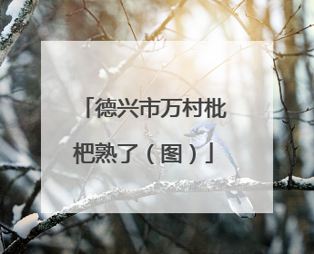 德兴市万村枇杷熟了（图）