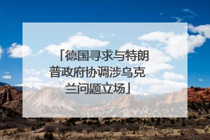 德国寻求与特朗普政府协调涉乌克兰问题立场