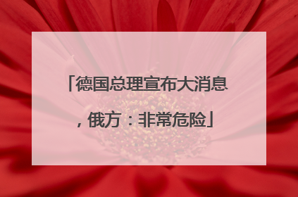 德国总理宣布大消息，俄方：非常危险