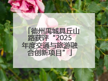 德州禹城具丘山路获评“2025年度交通与旅游融合创新项目”