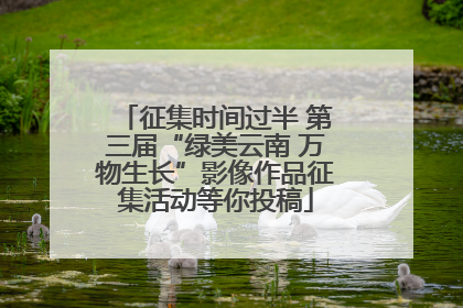 征集时间过半 第三届“绿美云南 万物生长”影像作品征集活动等你投稿