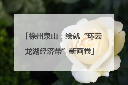 徐州泉山：绘就“环云龙湖经济带”新画卷
