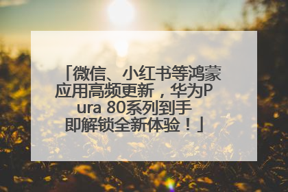 微信、小红书等鸿蒙应用高频更新，华为Pura 80系列到手即解锁全新体验！