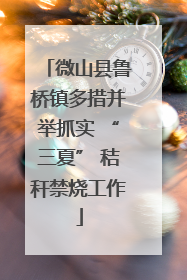微山县鲁桥镇多措并举抓实 “三夏” 秸秆禁烧工作