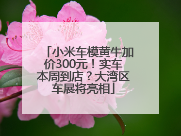 小米车模黄牛加价300元！实车本周到店？大湾区车展将亮相