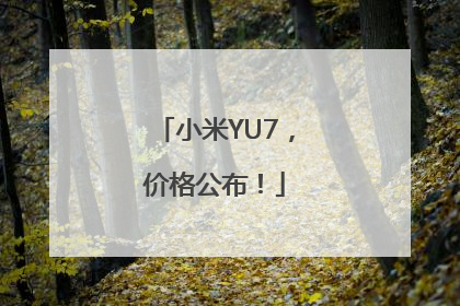小米YU7，价格公布！