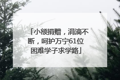 小额捐赠，涓滴不断，呵护万宁61位困难学子求学路