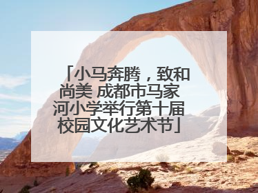 小马奔腾，致和尚美 成都市马家河小学举行第十届校园文化艺术节