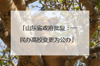 山东省政府批复：一民办高校变更为公办