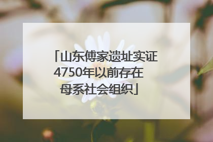 山东傅家遗址实证4750年以前存在母系社会组织