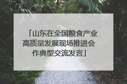 山东在全国粮食产业高质量发展现场推进会作典型交流发言