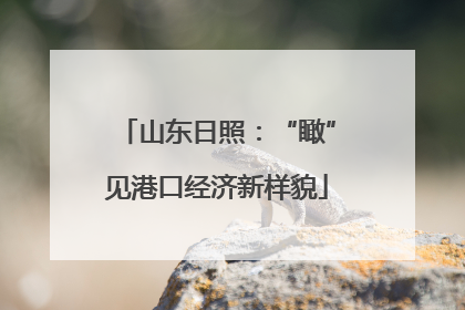 山东日照：“瞰”见港口经济新样貌