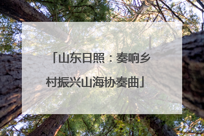 山东日照：奏响乡村振兴山海协奏曲