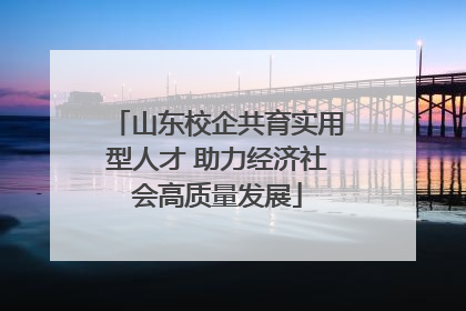 山东校企共育实用型人才 助力经济社会高质量发展