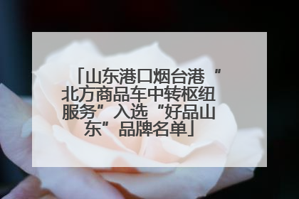 山东港口烟台港“北方商品车中转枢纽服务”入选“好品山东”品牌名单