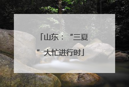 山东：“三夏”大忙进行时