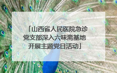 山西省人民医院急诊党支部深入六味斋基地开展主题党日活动
