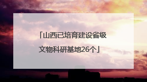 山西已培育建设省级文物科研基地26个