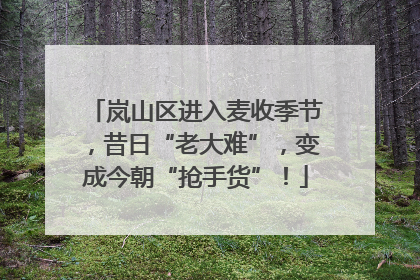 岚山区进入麦收季节，昔日“老大难”，变成今朝“抢手货”！