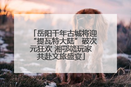 岳阳千年古城将迎“提瓦特大陆”破次元狂欢 湘鄂赣玩家共赴文旅盛宴