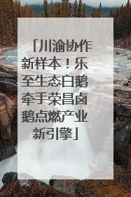 川渝协作新样本！乐至生态白鹅牵手荣昌卤鹅点燃产业新引擎