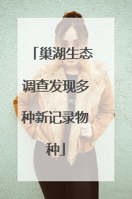 巢湖生态调查发现多种新记录物种