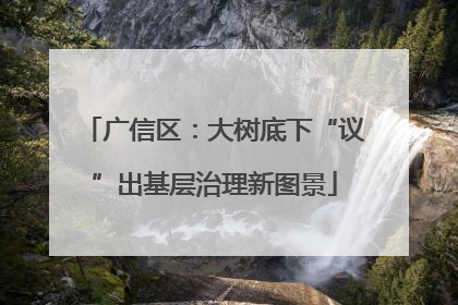 广信区：大树底下“议”出基层治理新图景