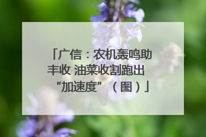 广信：农机轰鸣助丰收 油菜收割跑出“加速度”（图）