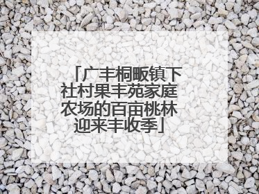 广丰桐畈镇下社村果丰苑家庭农场的百亩桃林迎来丰收季