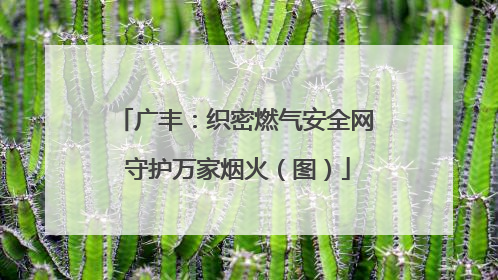 广丰：织密燃气安全网 守护万家烟火（图）