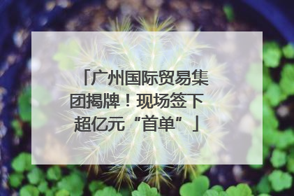 广州国际贸易集团揭牌！现场签下超亿元“首单”