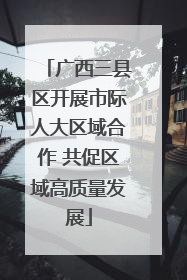 广西三县区开展市际人大区域合作 共促区域高质量发展