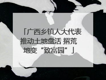 广西乡镇人大代表推动土地盘活 撂荒地变“致富园”