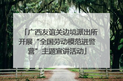 广西友谊关边境派出所开展“全国劳动模范进警营”主题宣讲活动