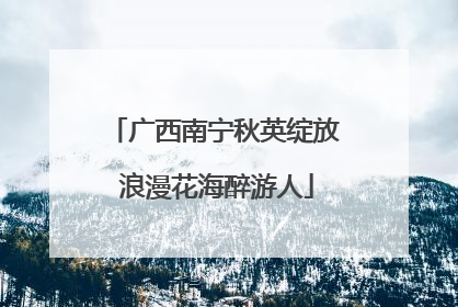 广西南宁秋英绽放 浪漫花海醉游人